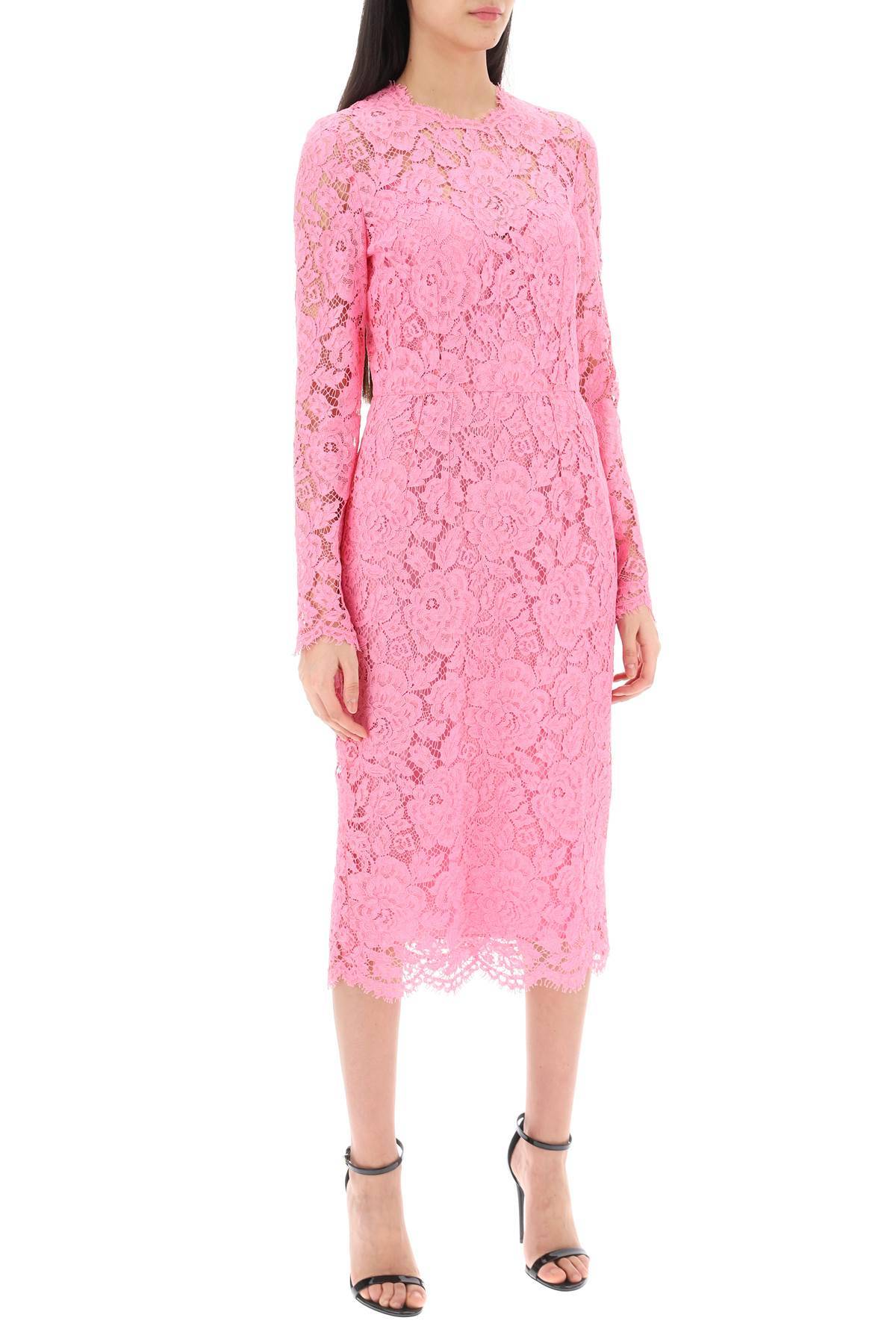 Shop Dolce & Gabbana Midi Dress In Floral Cordonnet Lace In Pink
