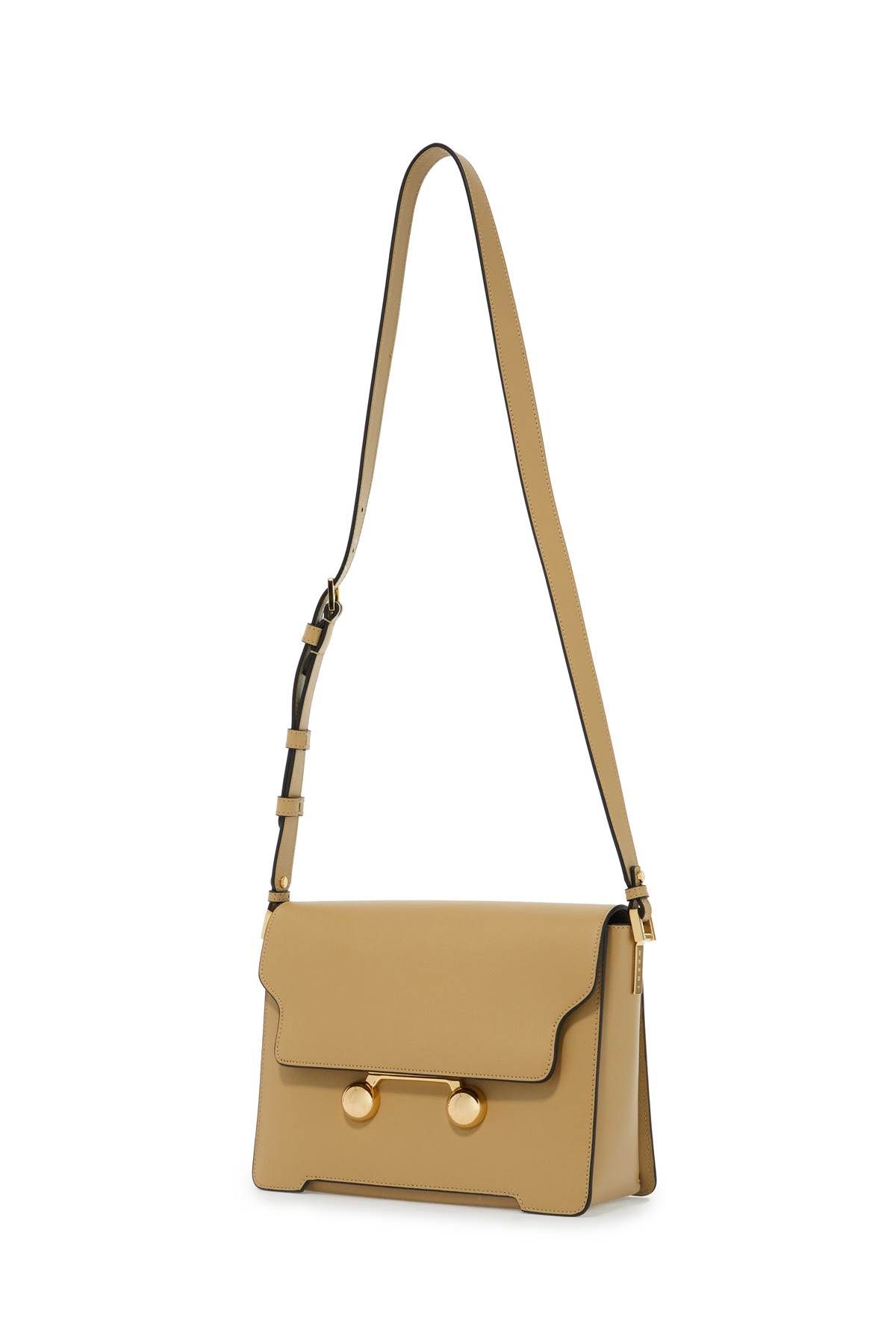 Shop Marni Medium Trunkaroo Shoulder Bag In Beige