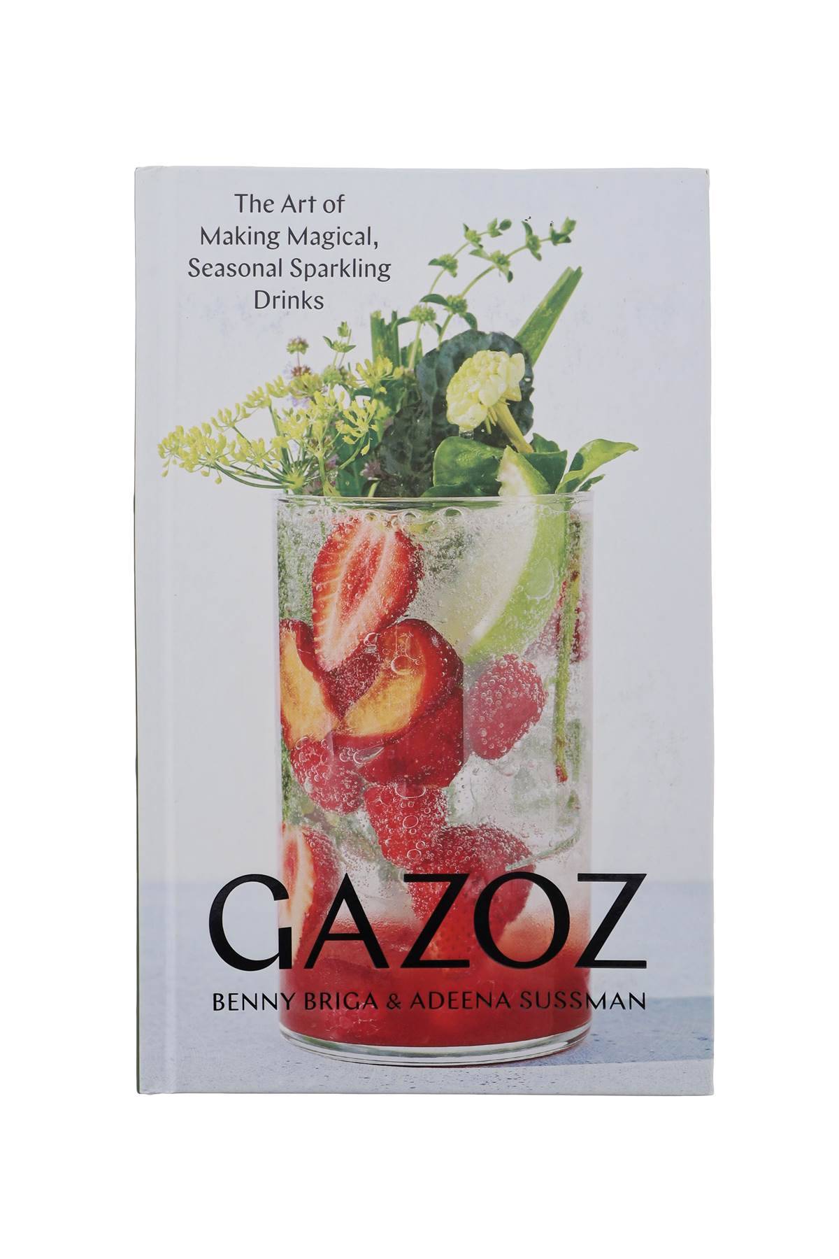 NEW MAGS gazoz - the art of making magical, seasonal sparkling drinks