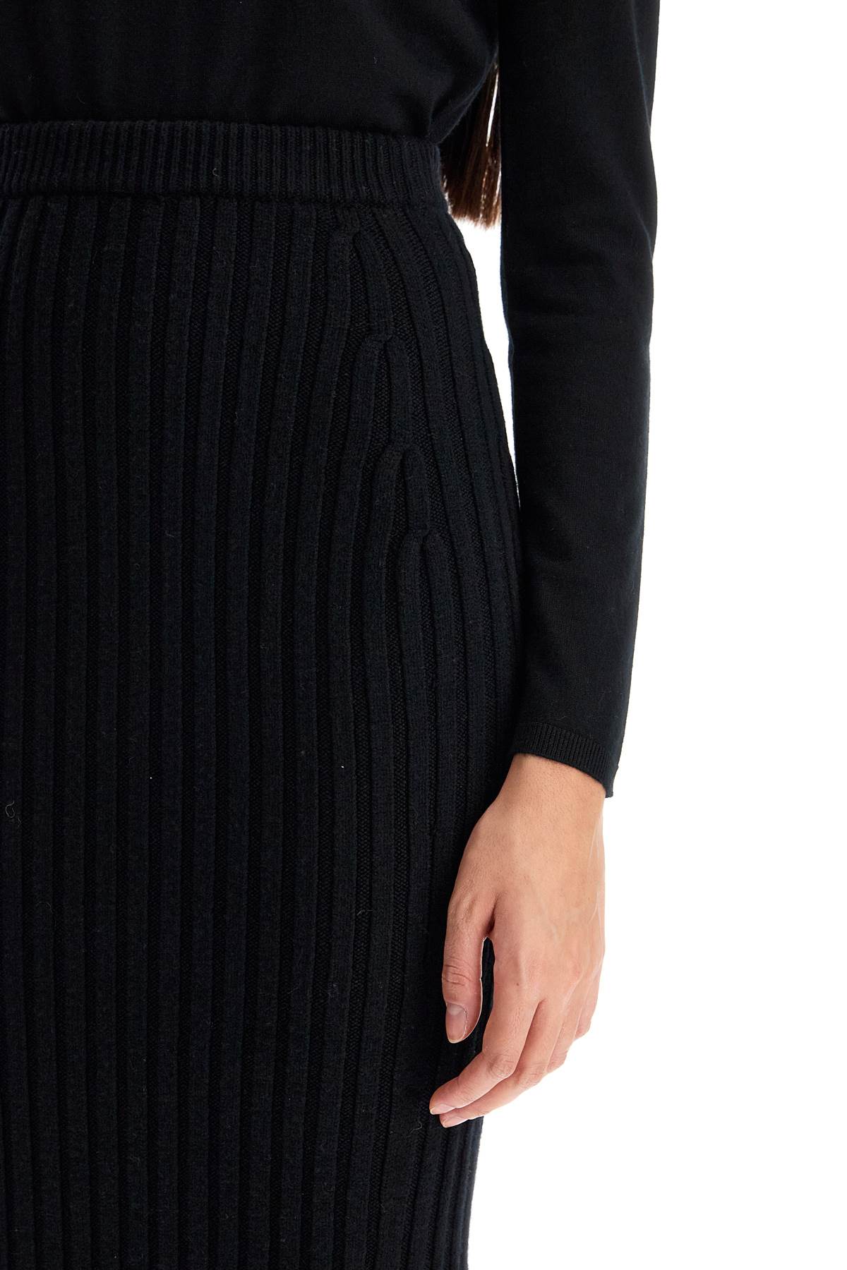 Shop Max Mara Seta Rib Knit Skirt In Black