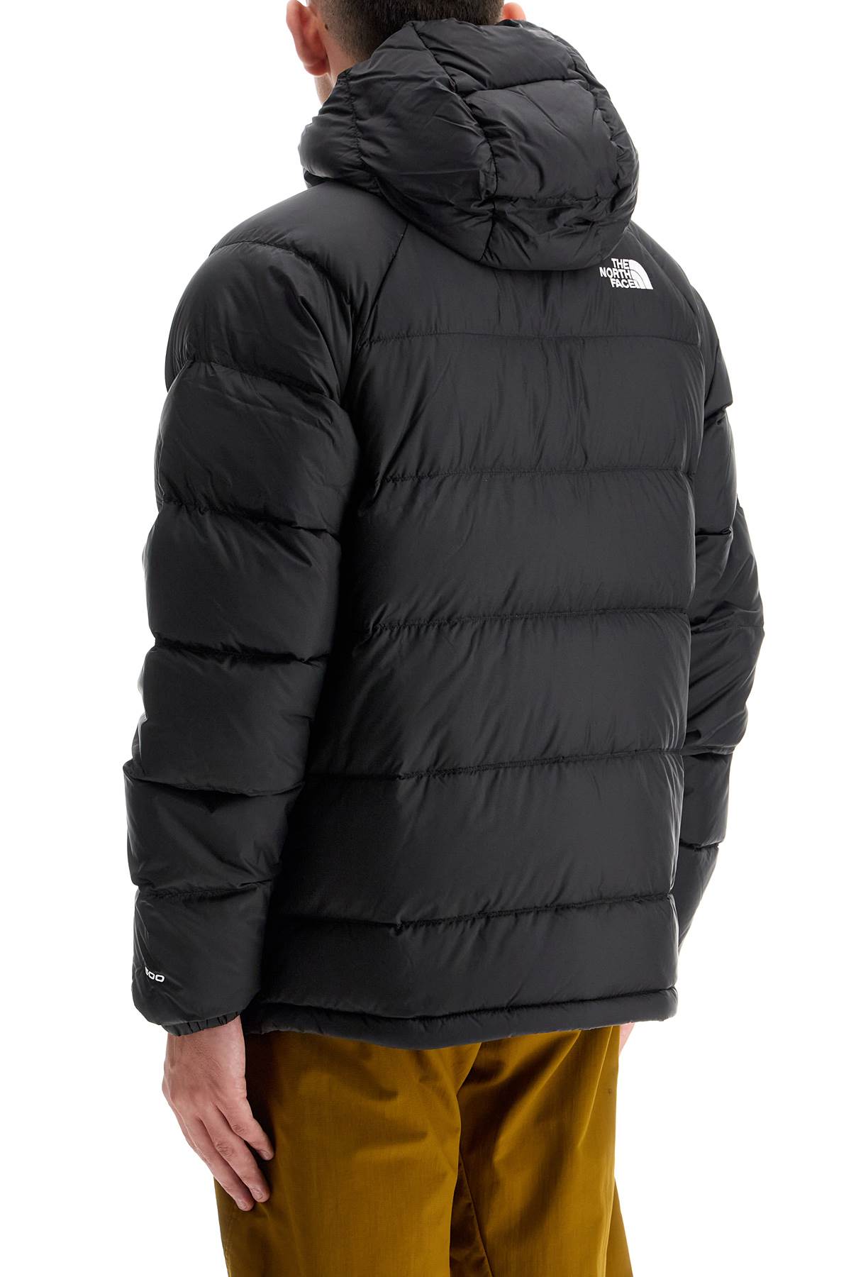 Shop The North Face Hydrenalite Hooded In Black