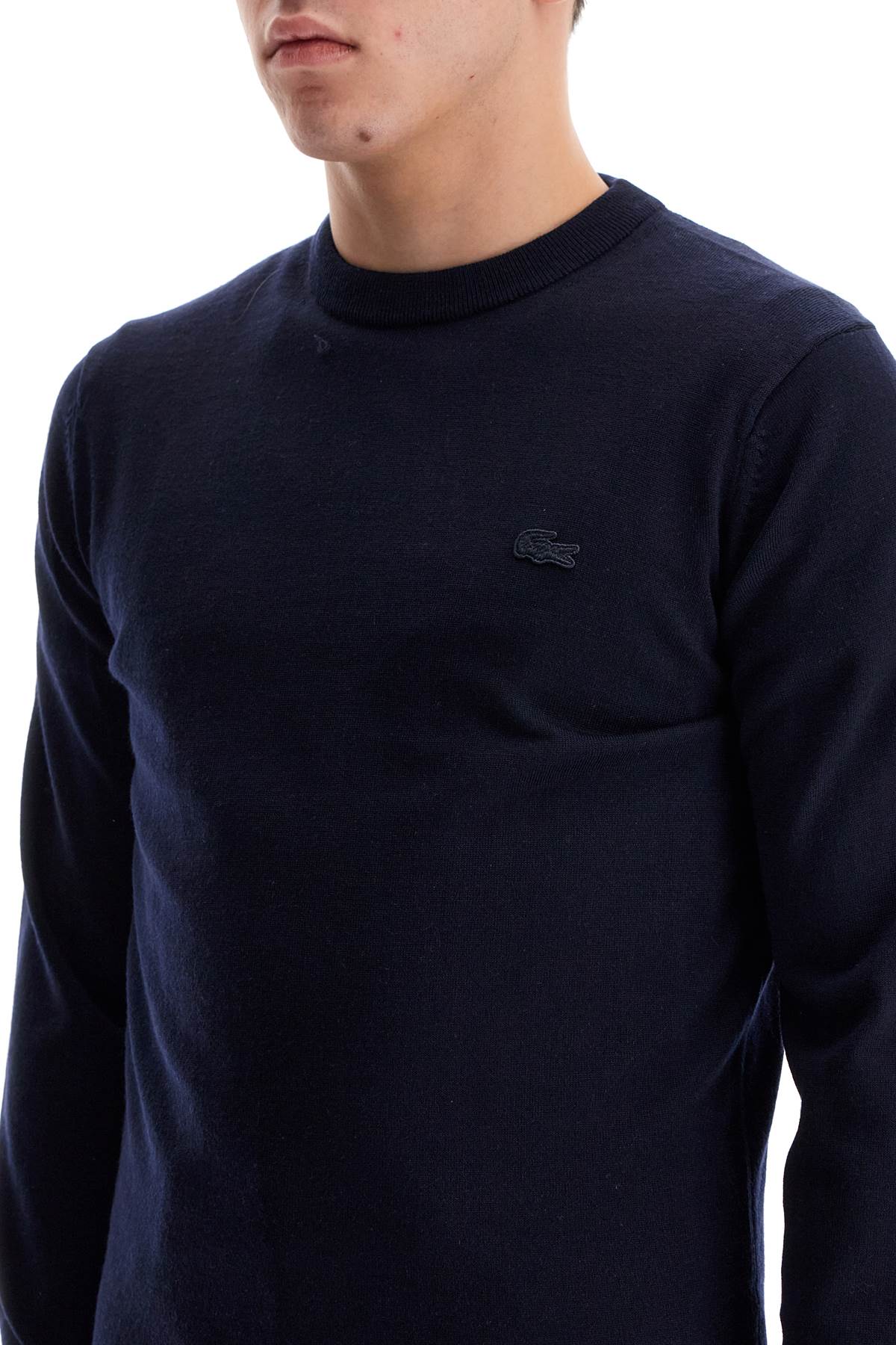 Shop Lacoste Wool Crewneck Pullover In Blue