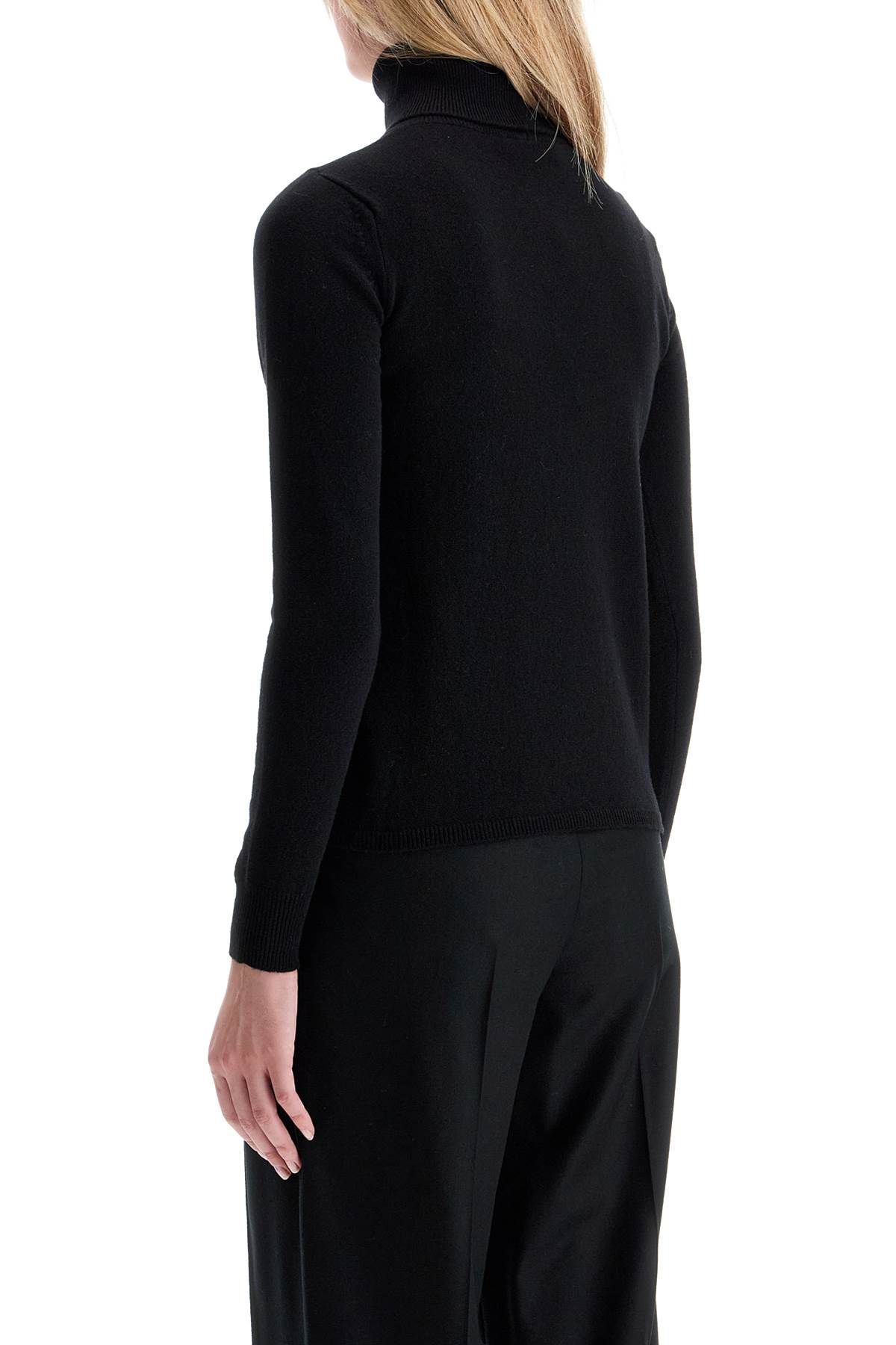 Shop Max Mara 'dolcevita Sestri In Black