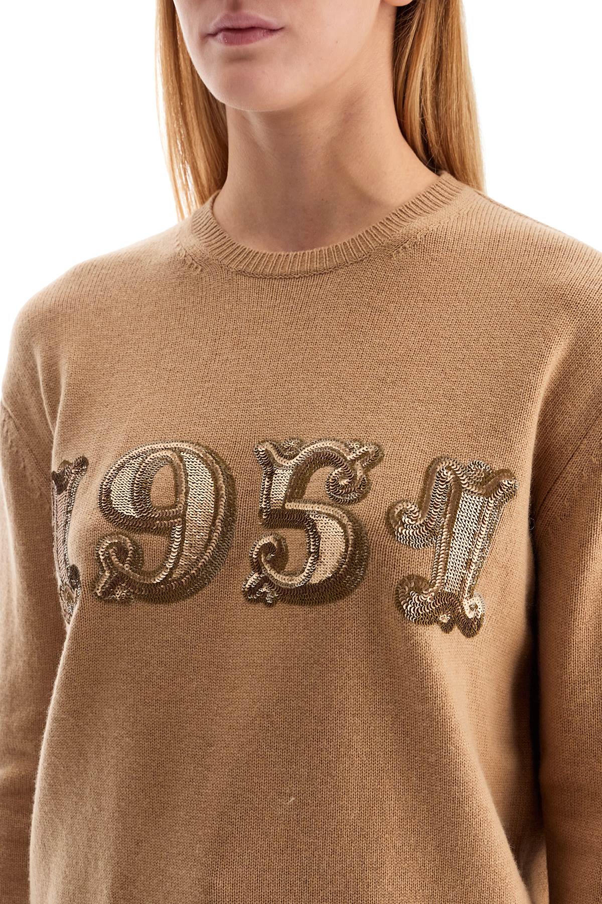 Shop Max Mara Form With Embroidery And Sequins Pullover In Beige