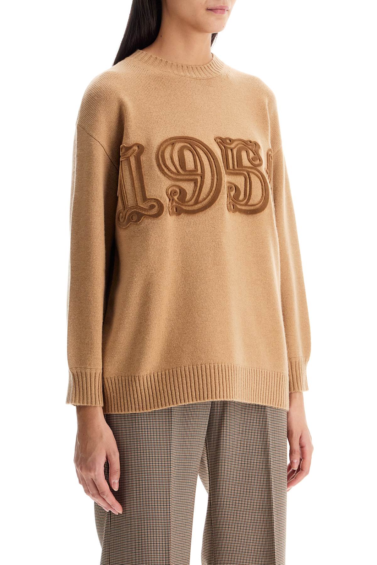 Shop Max Mara 'fido' Wool And Cashmere In Brown