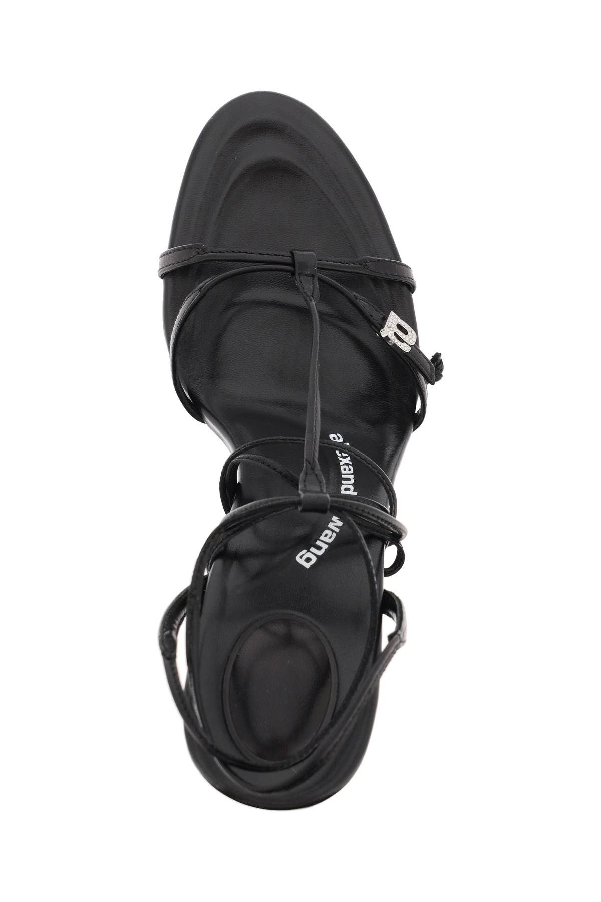 Shop Alexander Wang 'lucienne' Leather Sandals In Black