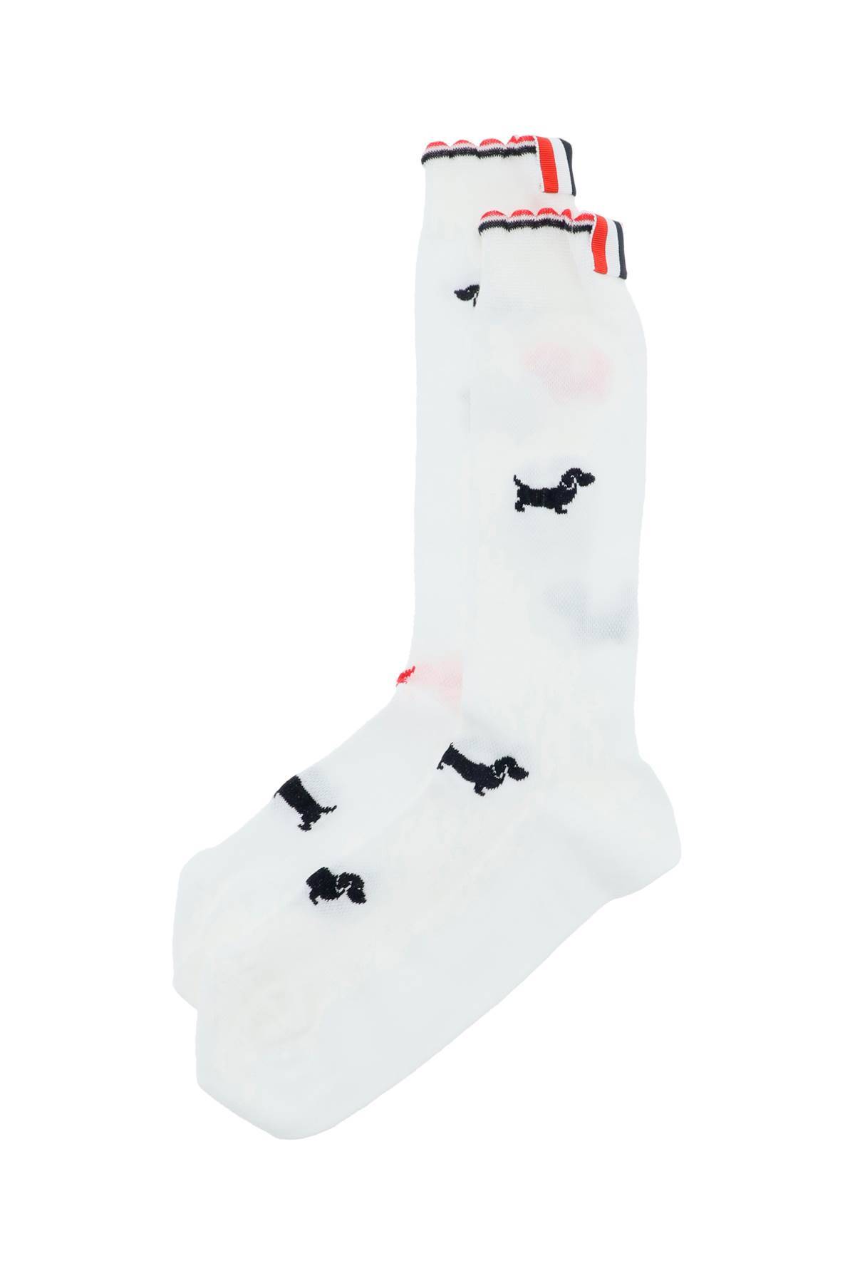 Shop Thom Browne Hector Socks In Cotton Piqué In White