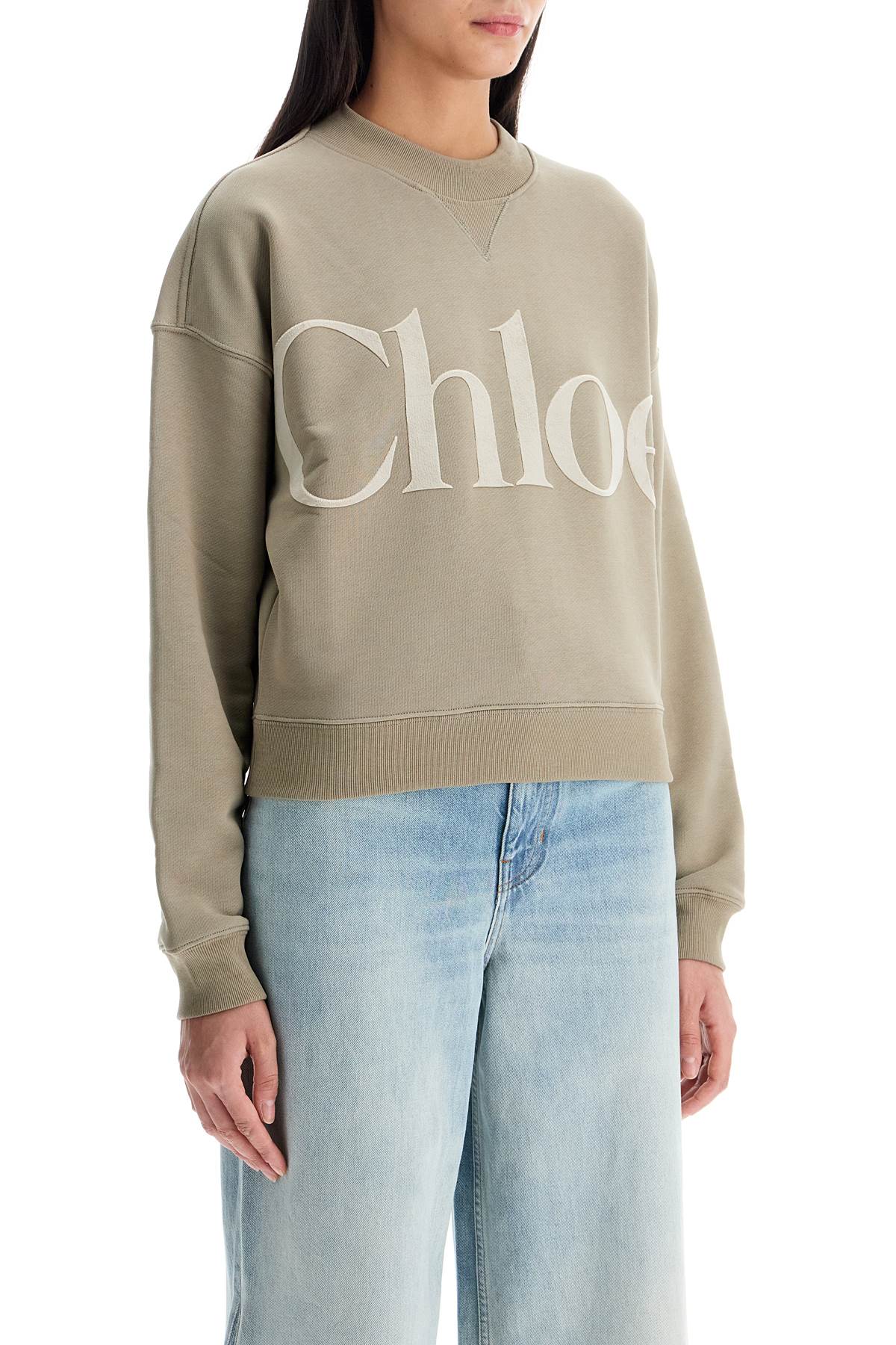 Shop Chloé Velvet Logo Crewneck Sweatshirt With In Neutro