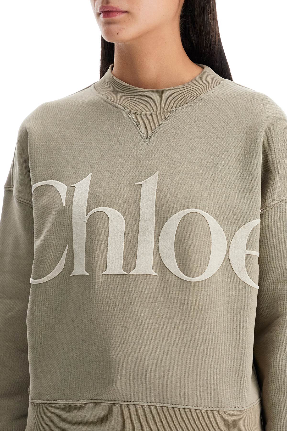 Shop Chloé Velvet Logo Crewneck Sweatshirt With In Neutro