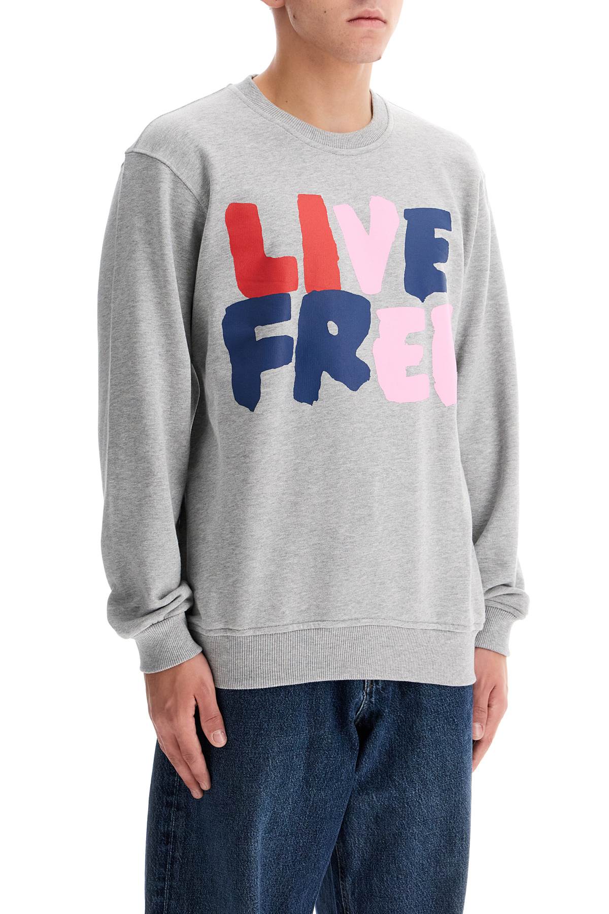 Shop Comme Des Garçons Shirt Live Free Hooded Sweat In Grey