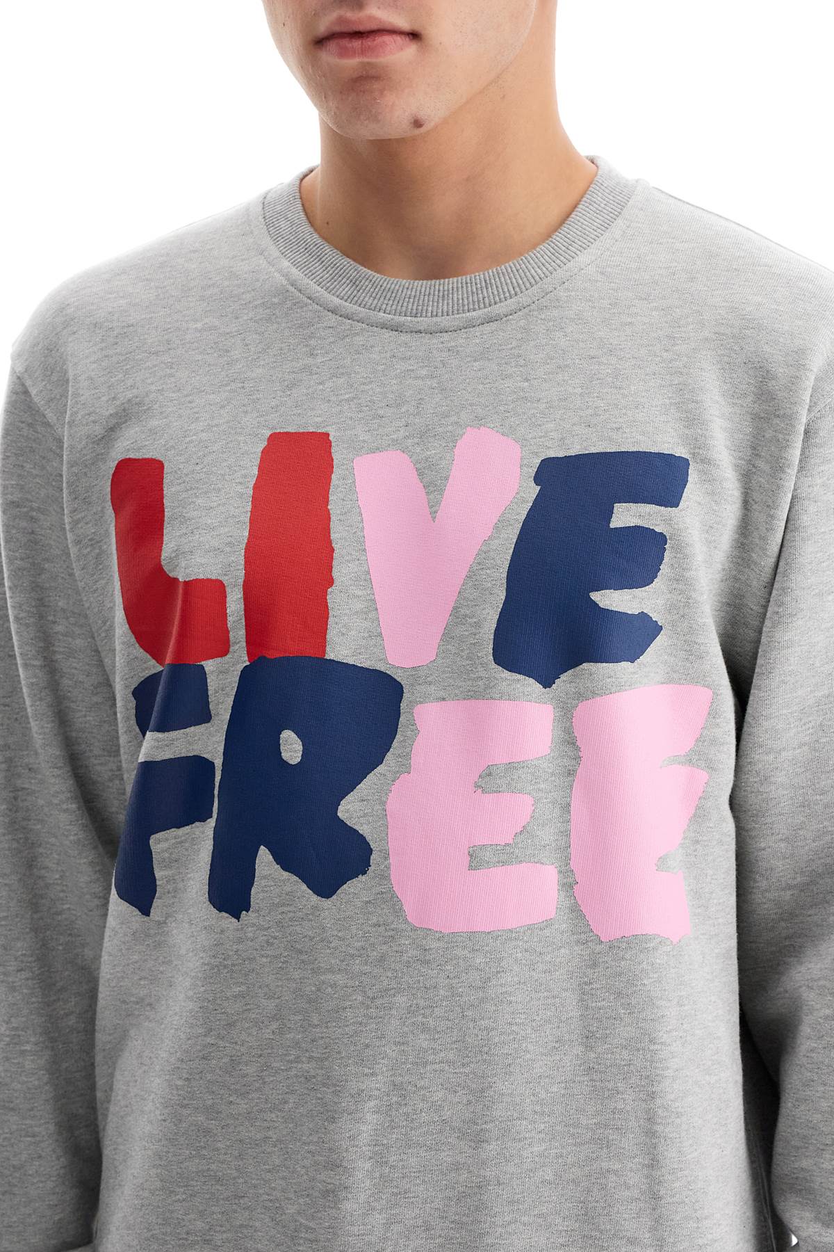 Shop Comme Des Garçons Shirt Live Free Hooded Sweat In Grey