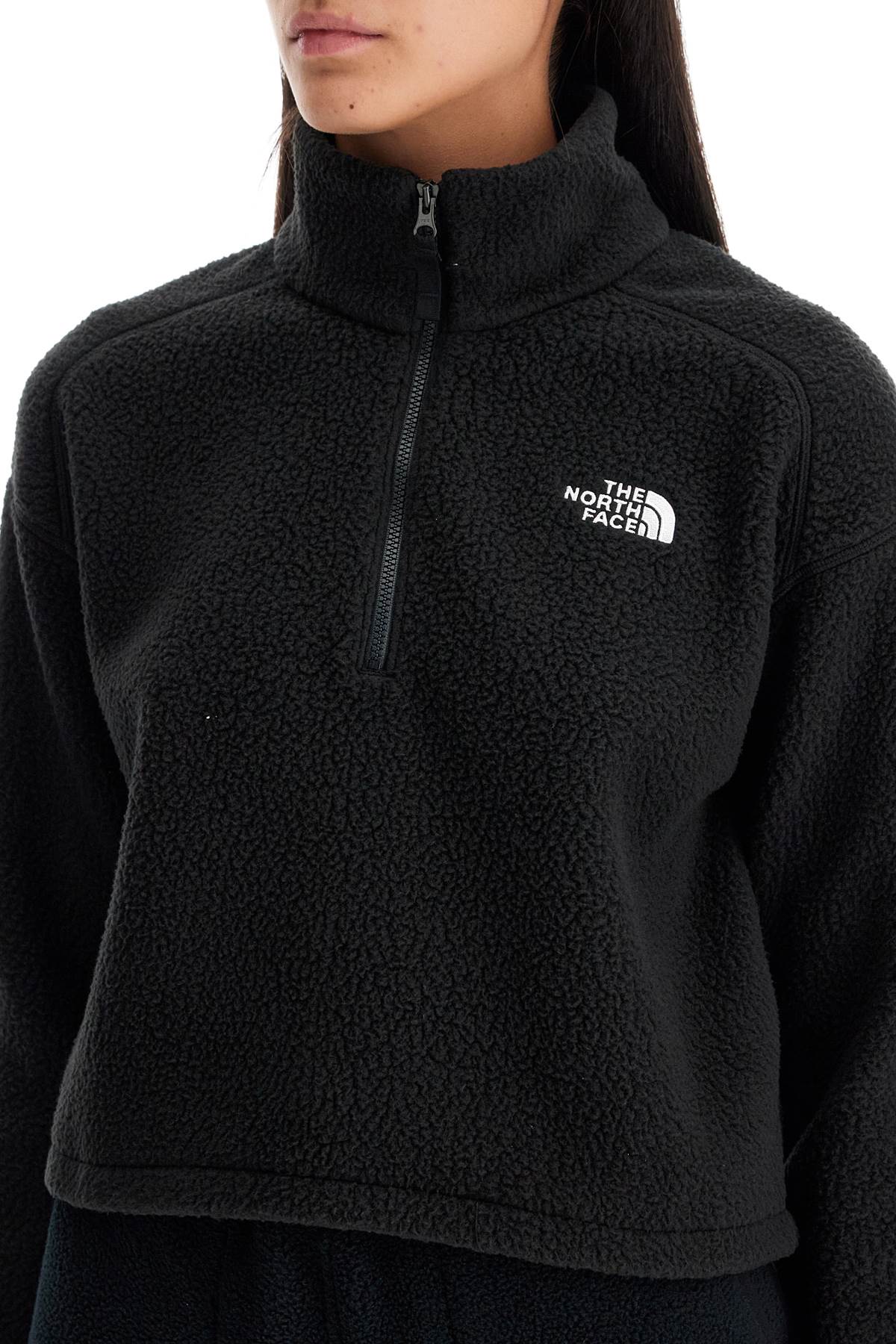 Shop The North Face Sherpa Fleece Cropped Sweatshirt In In Black